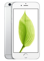 iPhone 6 Repair