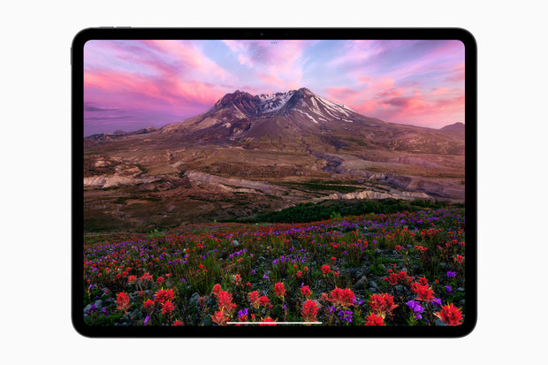 iPad Pro 13" (2024) Repair