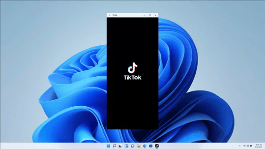 Επισκευή PC TheFixers