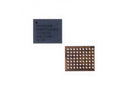 OEM Apple iPhone Touch Ic