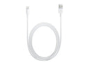 Apple Καλώδιο Bulk USB σε Lightning 2m